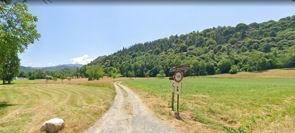 Campo di granoturco nei pressi del Mirabello