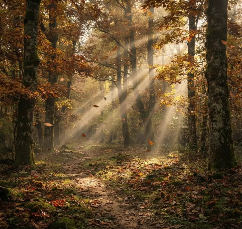 D'autunno